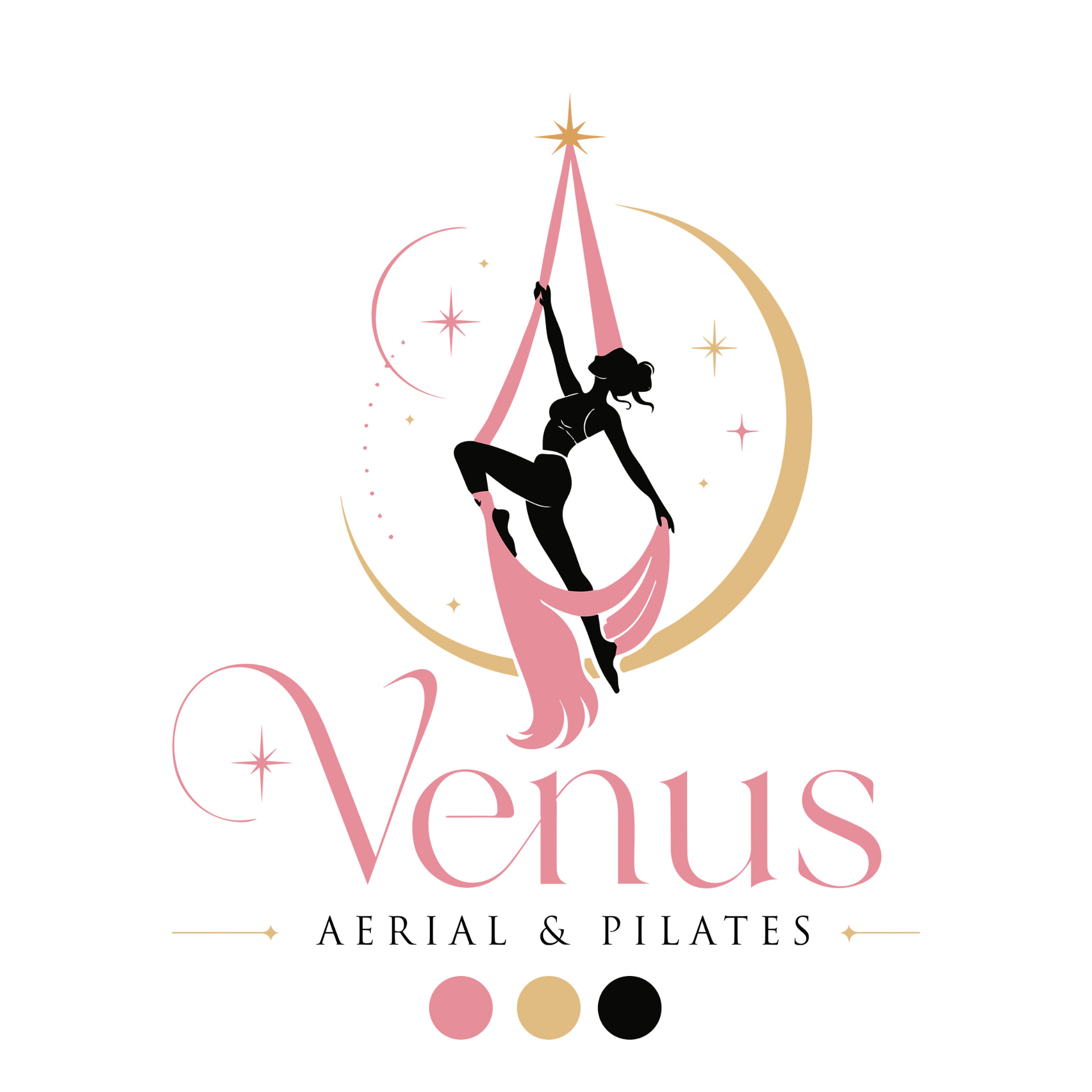 Venus Aerial & Pilates Logo — Logos project by Teacha Designz